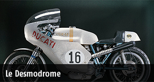 vigtte-desmodrome